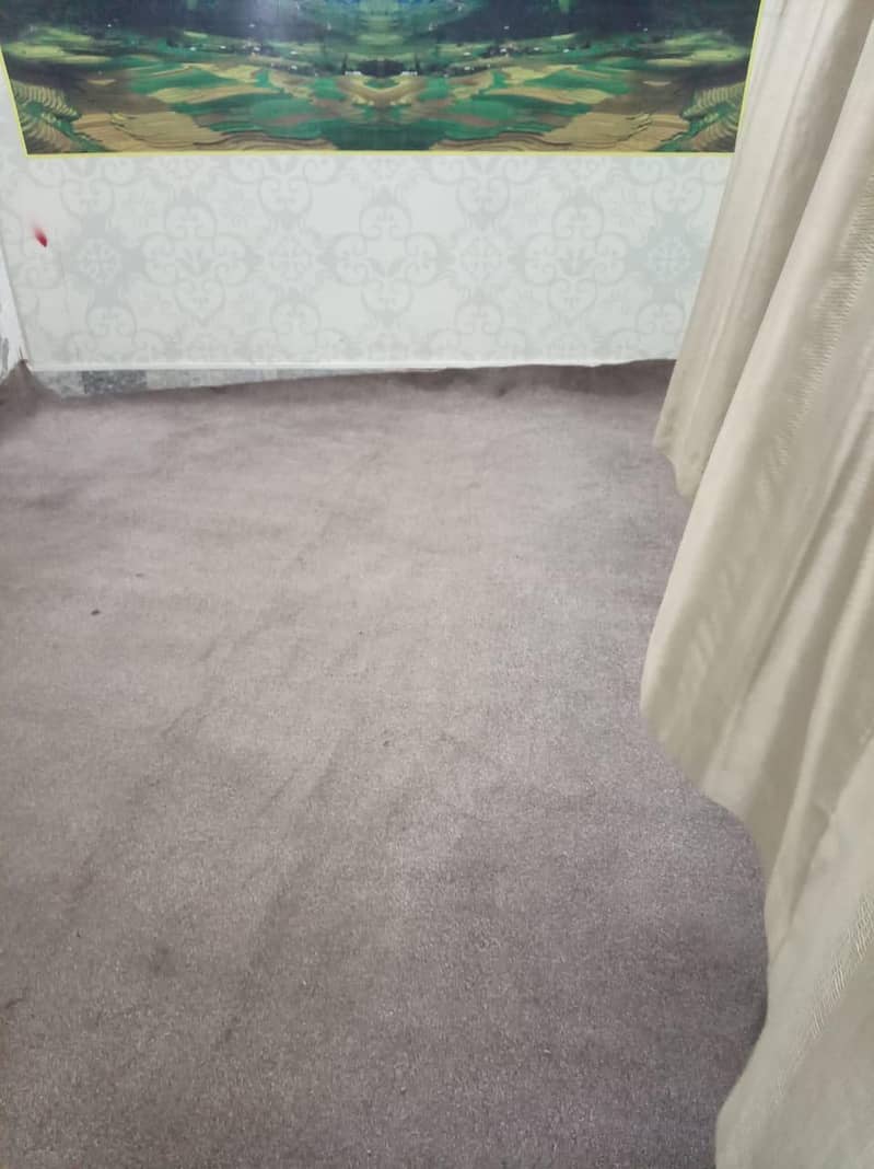 carpet 1