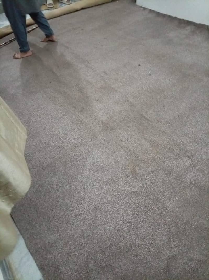 carpet 2