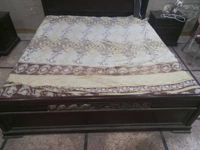 Master Molty Foam (Spring Mattress