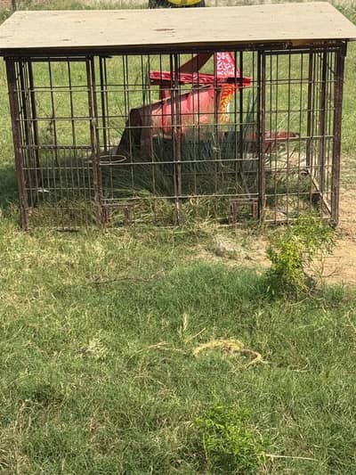 Dog cage For sale / Also used for goats