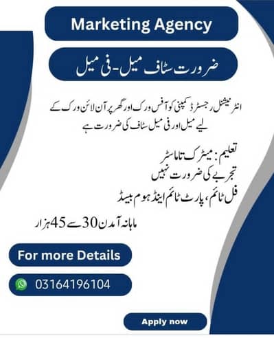 Staff required for online or office based job