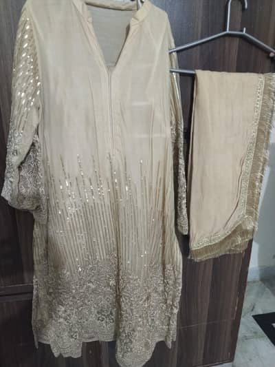 Beautiful woman net dress
