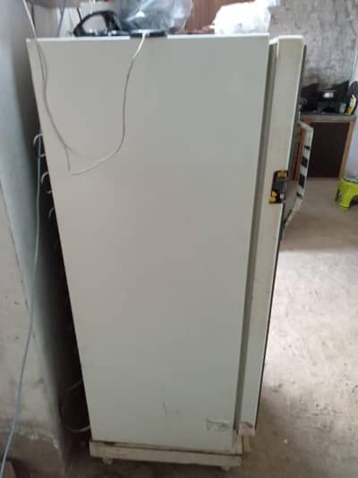 Sanya impoeted fredg for sale
