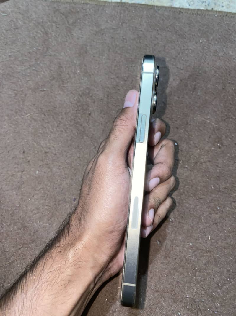 iPhone 13 Pro Max 5