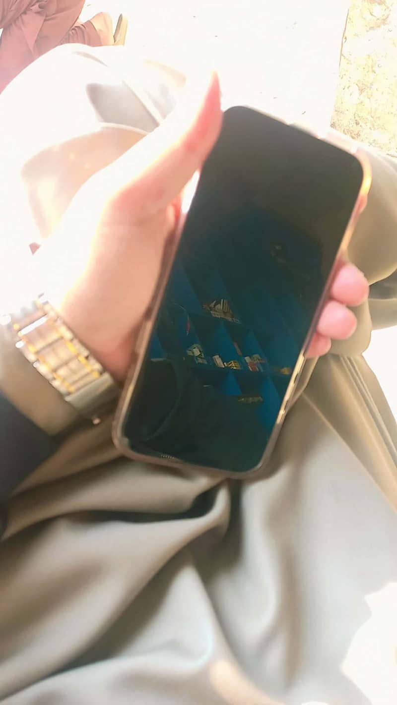 Apple iPhone 16 Pro Max 1