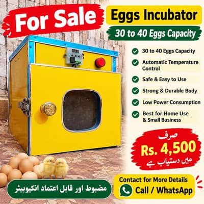 Eggs incubator