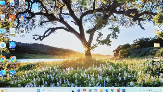 Lenovo Thinkpad T490