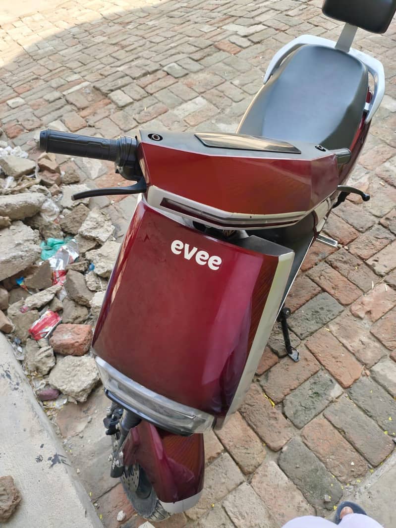 Evee1 3