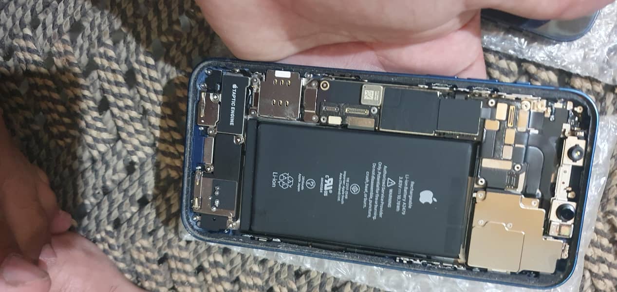 Apple iPhone 12 1