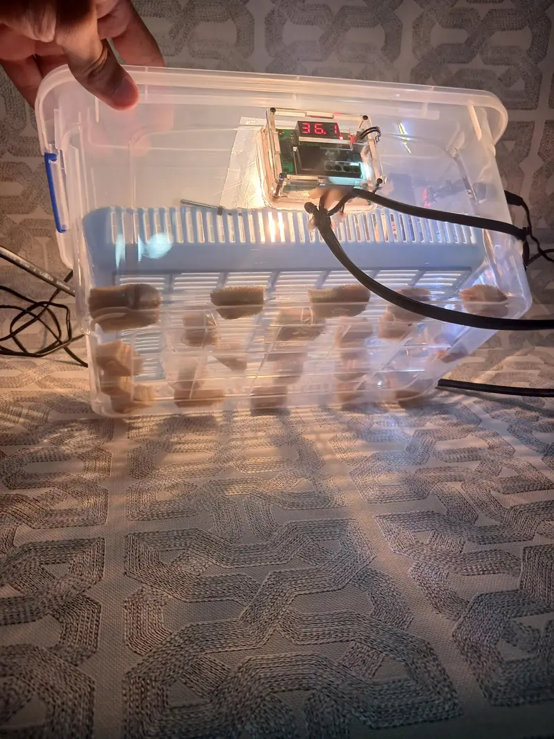 16 to 18 eggs capacity egg incubator/101% result 03024329933 whatsapp — photo 2