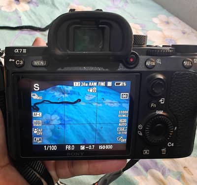 Sony A7iii with Sigma 28-70mm DG DN 2.8 lens