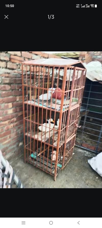 3 portion heavy iron cage for birds