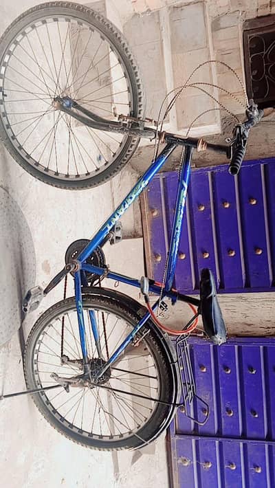 by cycle