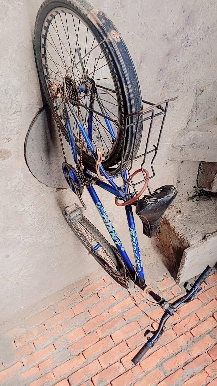 by cycle 4