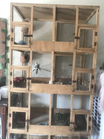 Parrot cage
