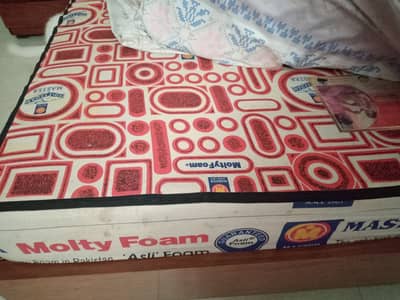 8 inch moltifoam