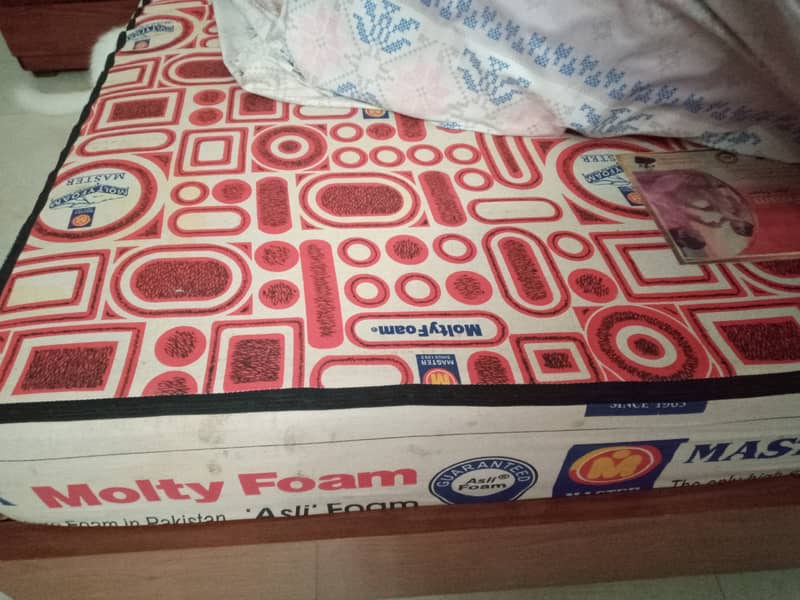 8 inch moltifoam 1