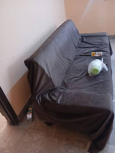 Sofa cum Bed