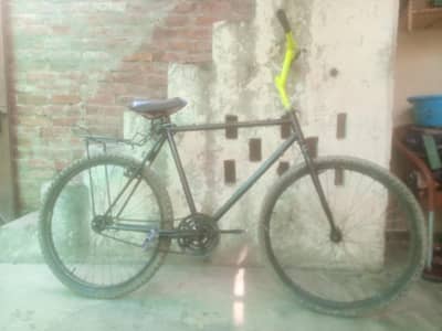 big weelar cycle full size