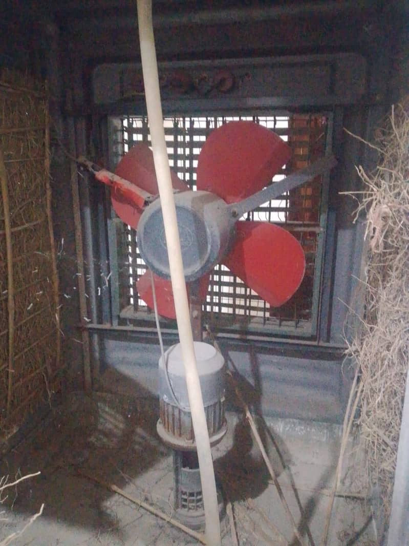 Romm colloer 1