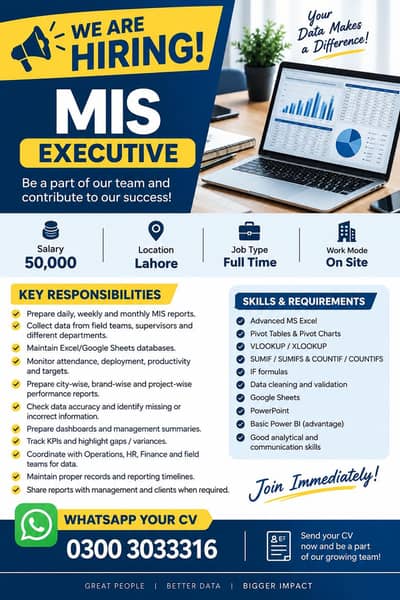 MIS executive