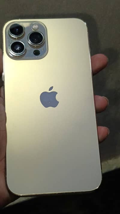 Apple iPhone 13 Pro Max