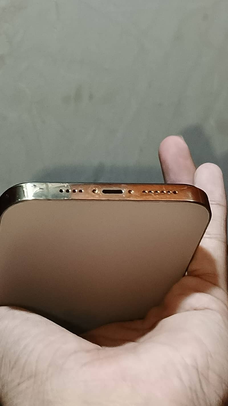 Apple iPhone 13 Pro Max 1