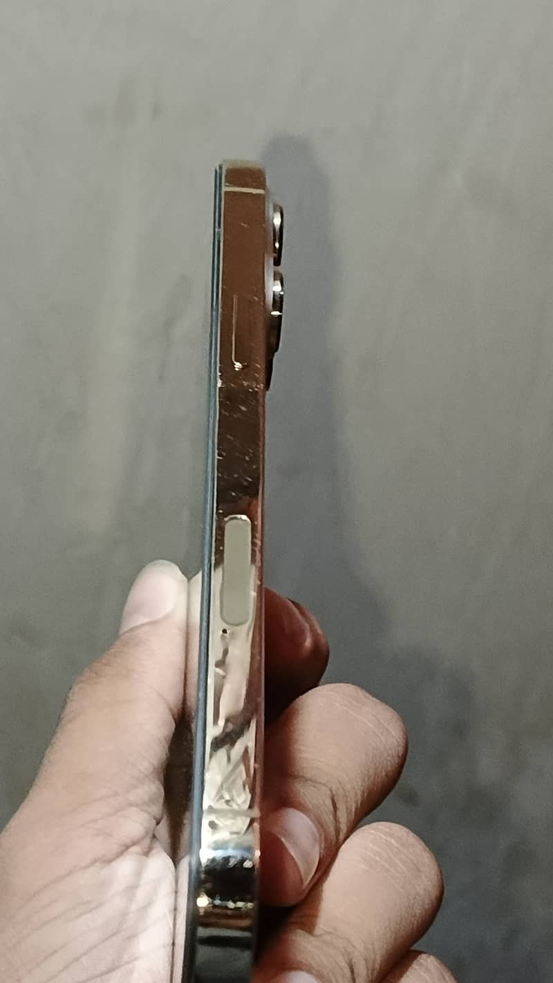 Apple iPhone 13 Pro Max 3