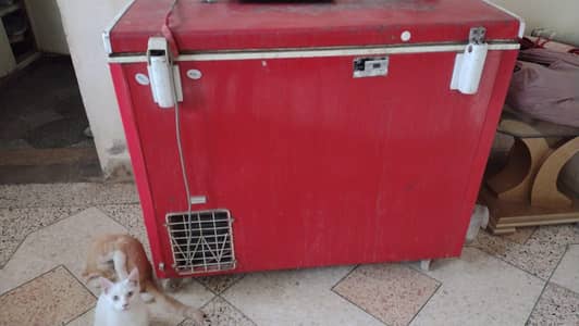 Deep freezer for Sale