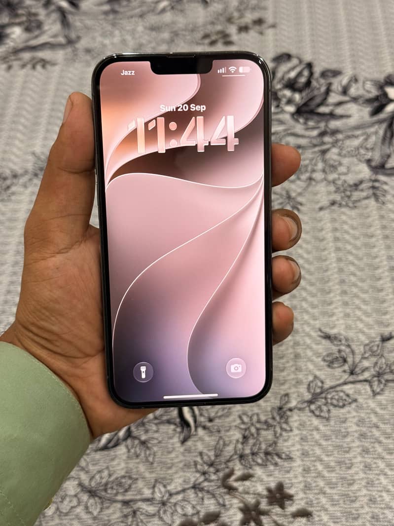 Apple iPhone 13 Pro Max 1