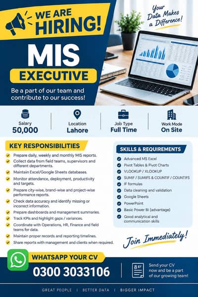 MIS executive