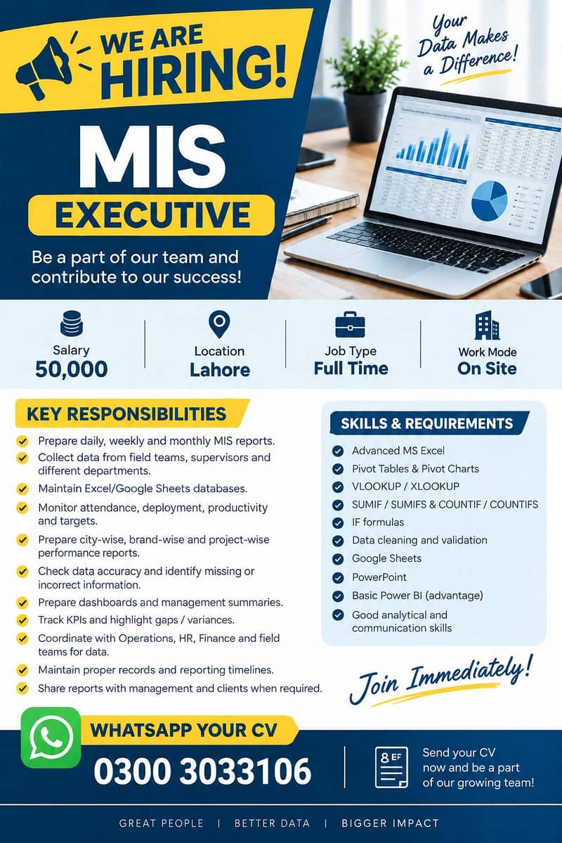 MIS executive 0