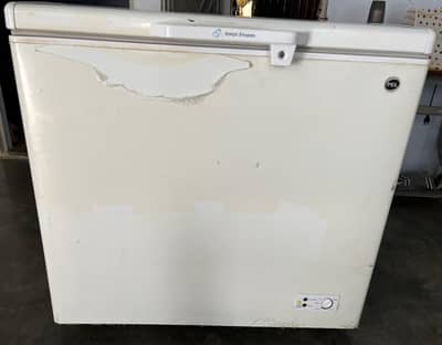 Pel deep freezer 100