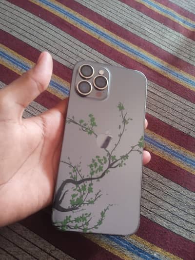 Apple iPhone 12 Pro Max