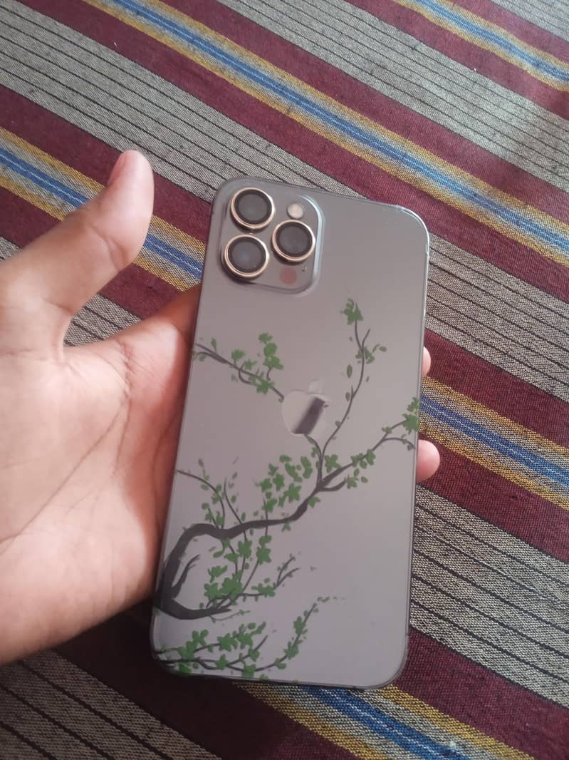 Apple iPhone 12 Pro Max 0