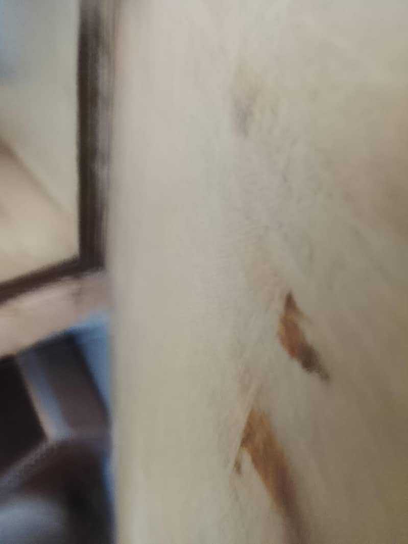 kitchen cabinets 2