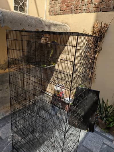 4 Portion Metal Cage / Iron Cage