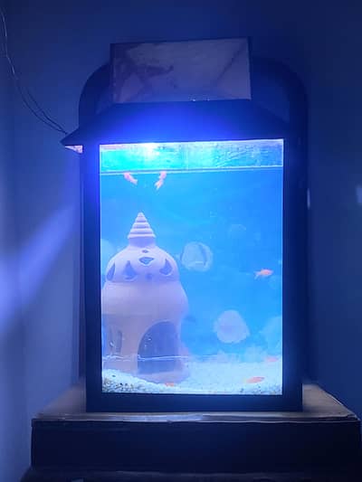 aquarium +pot