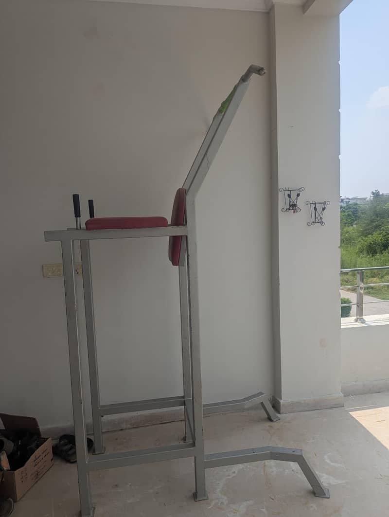 pull up anddip stations 4