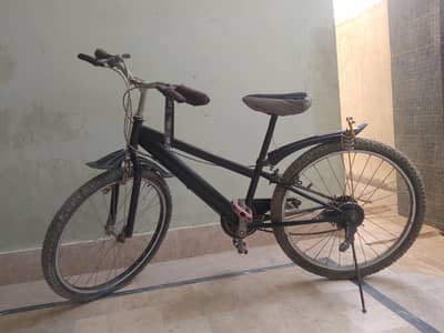 bicycle with 6 gears