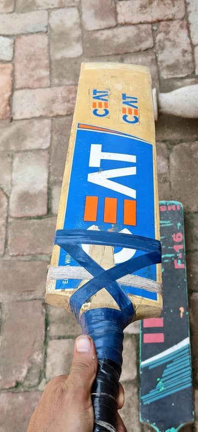 Bats for sale 2
