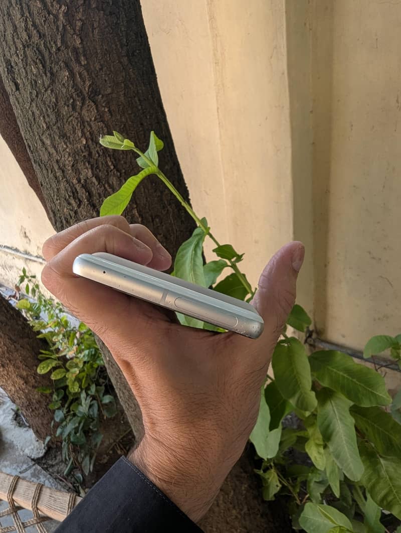Google Pixel 7 1