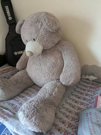 Teddy Bear