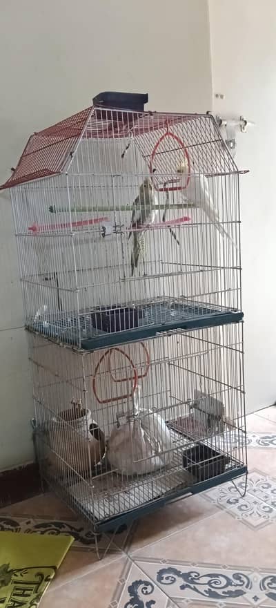 only cage
