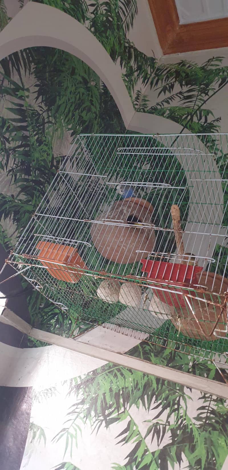 birds 2
