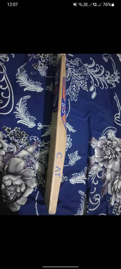 english willow bat with total kitt bag