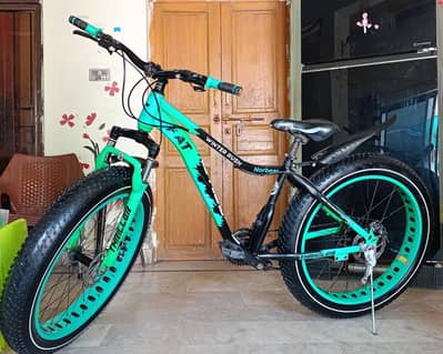 FAT tyre cycle heavy duty gears bicycle