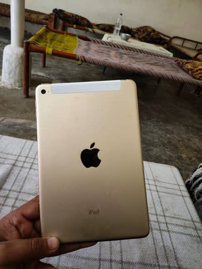 ipad 4 mini
