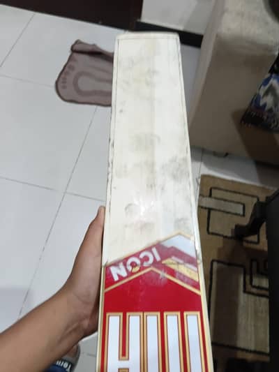 hard ball cricket bat