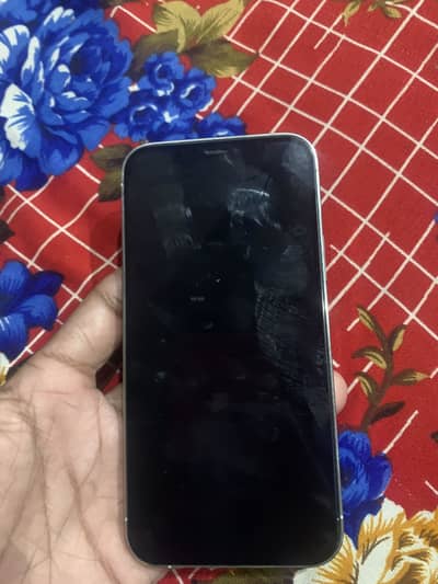 Apple iPhone 12 Pro